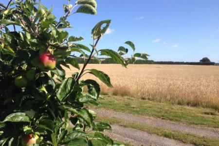 Church Farm B&B Suffolk Great Whelnetham Экстерьер фото